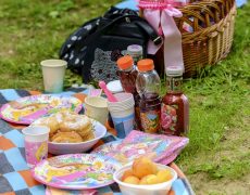 Piknik pri kaštieli Betliar 2018